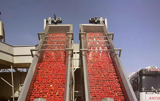 Auditorías de Tomates