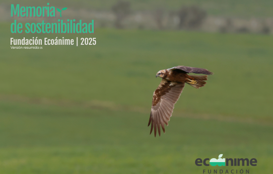 ¿Qué es una Memoria de Sostenibilidad?