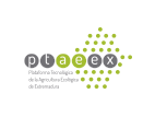 PTAEEX